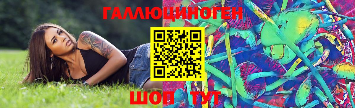 Псилоцибиновые грибы GOLDEN TEACHER  даркнет сайт  Отрадный  Вход с VPN 