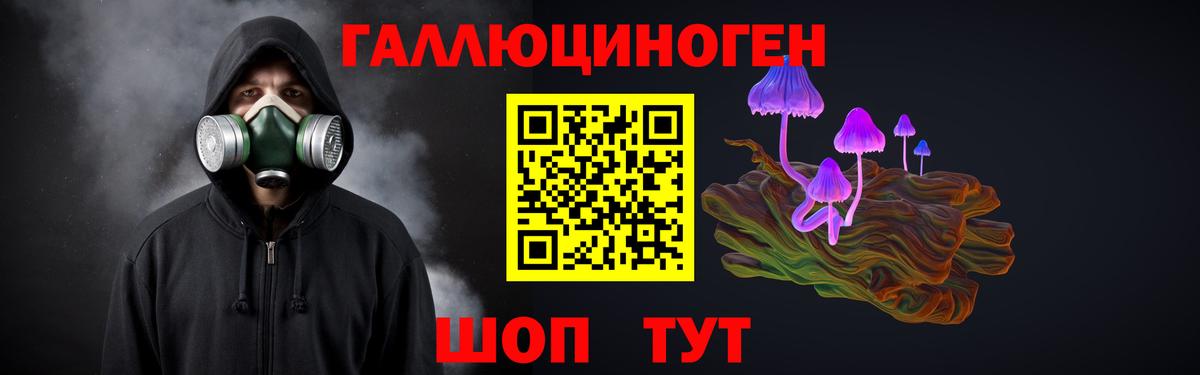 Галлюциногенные грибы Cubensis Отрадный